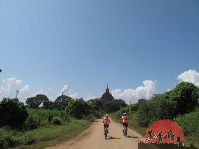 1 day Hoian Cycling To My Son World Heritage