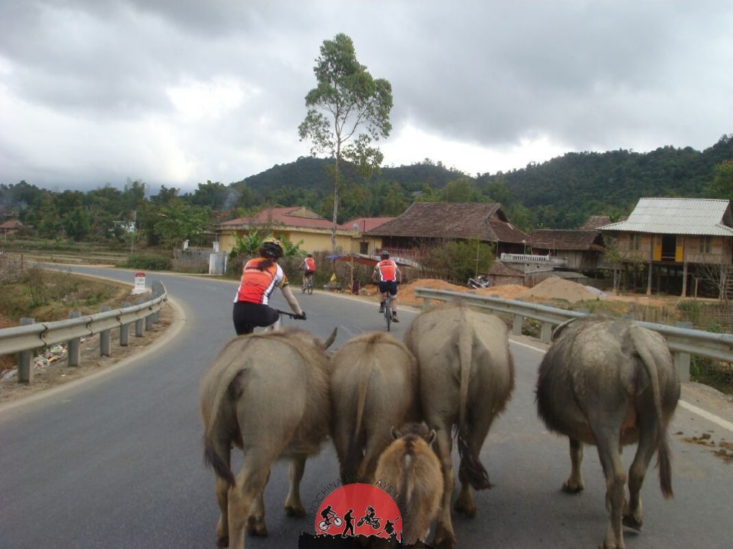 11 days Vietnam ( Dien Bien Phu ) Border Biking to Vientaine