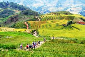 4 Days Sapa Trekking and Homestay Tour