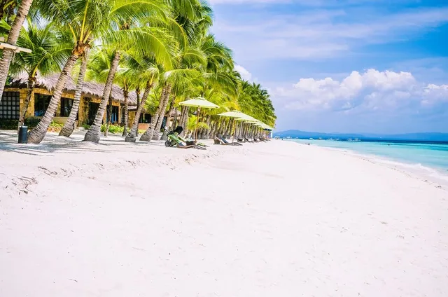 Philippines Tour To Cebu, Negros, & Bohol For Diving - 9 Days