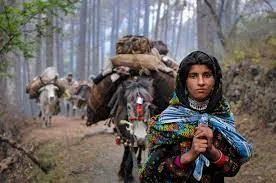 11 Days Trekking in Kerala