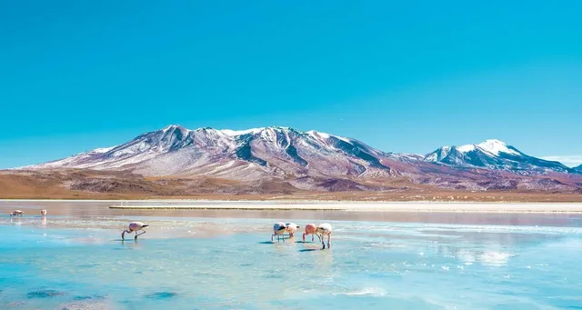 19 Days Discover North Indian Himalaya Tour